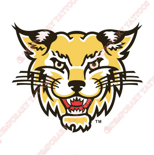 Western Carolina Catamounts Customize Temporary Tattoos Stickers NO.6949